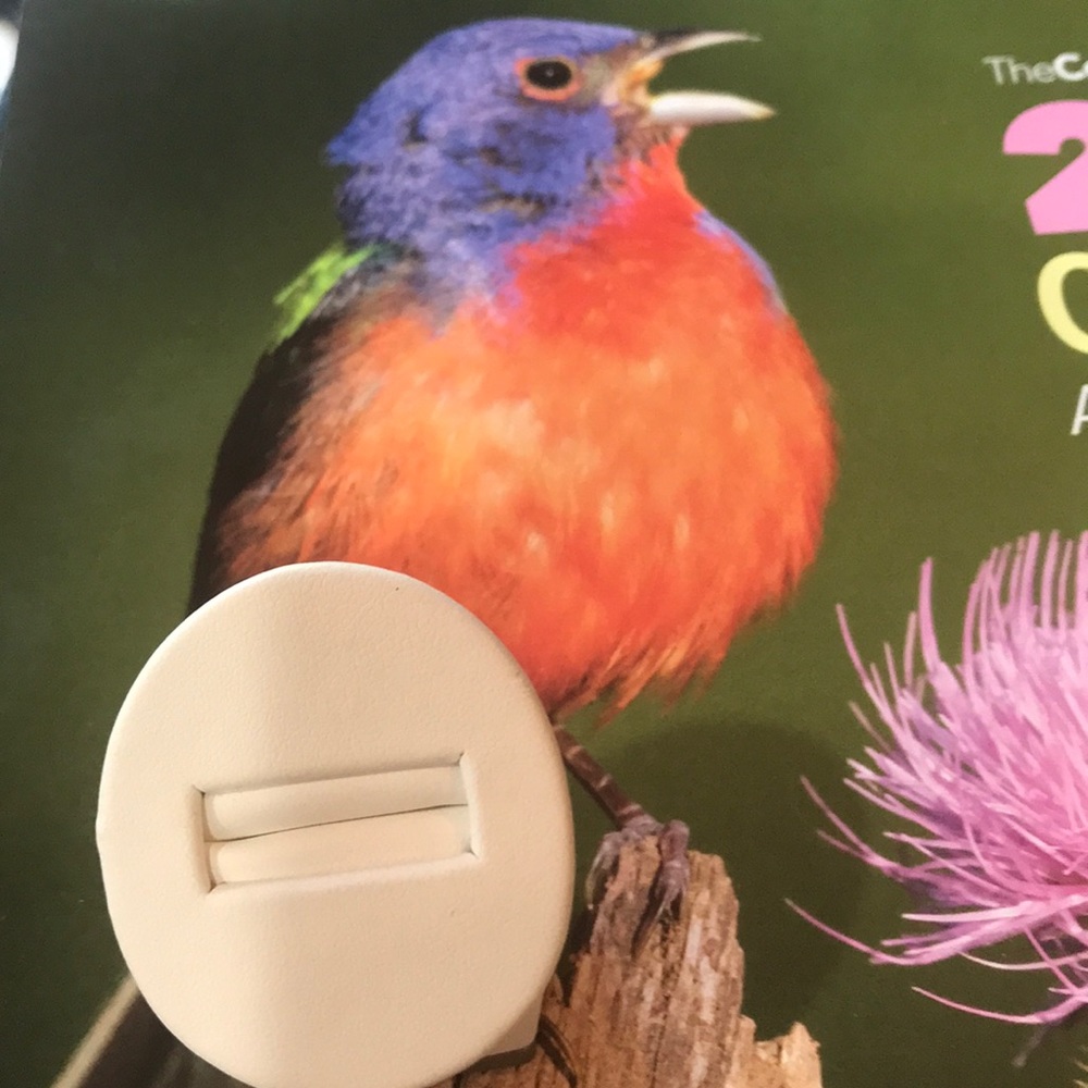Ring Holder